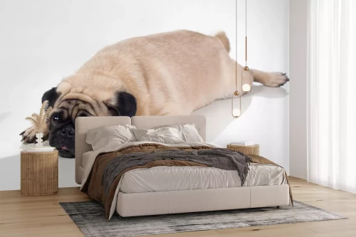 Visualisatie van het product