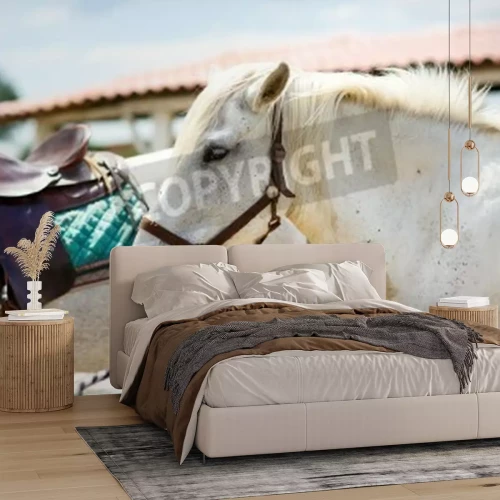 Fotobehang Paarden bij een stal