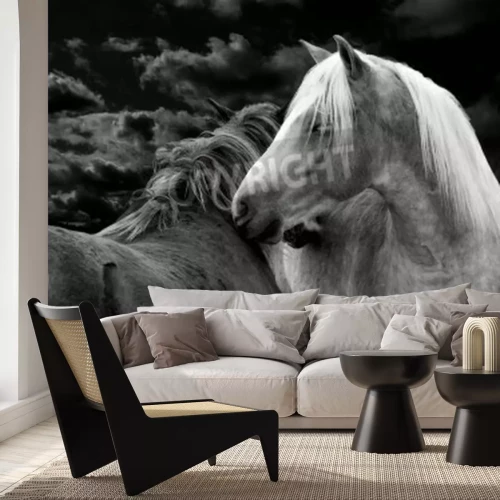 Fotobehang Nachtbeeld van paarden