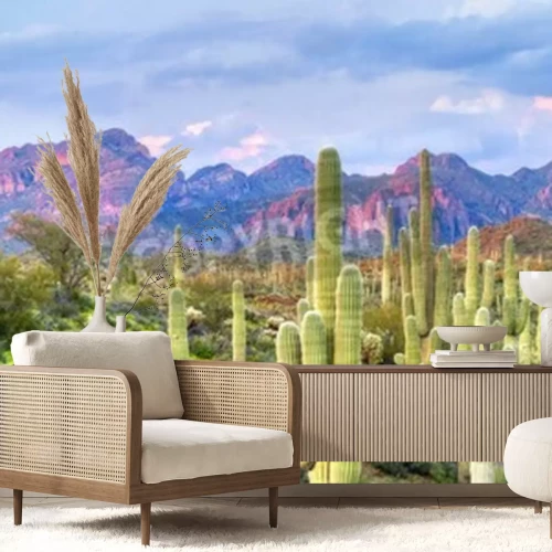 Fotobehang Woestijnplanten en rotsen in Arizona