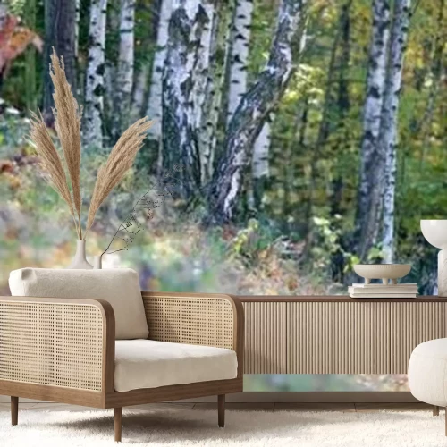 Fotobehang Gras en berken