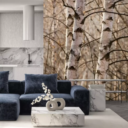 Fotobehang Berken in de winter