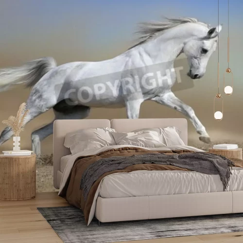 Fotobehang Paard loopt in het stof