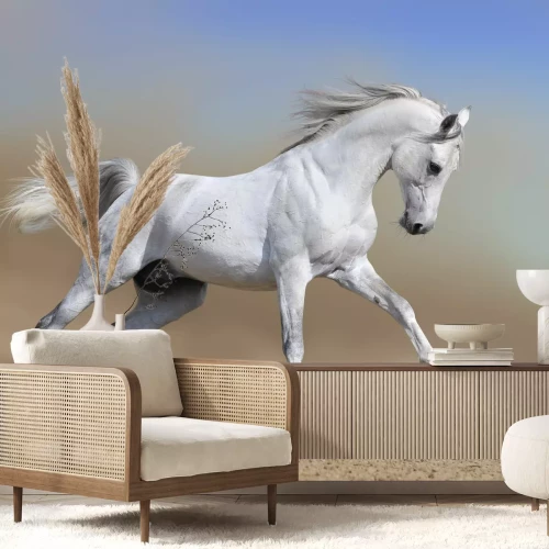 Fotobehang Paard loopt in het stof