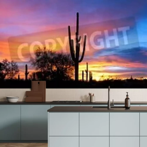 Fotobehang Woestijncactussen op de achtergrond van zonsondergang