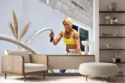 Visualisatie van het product