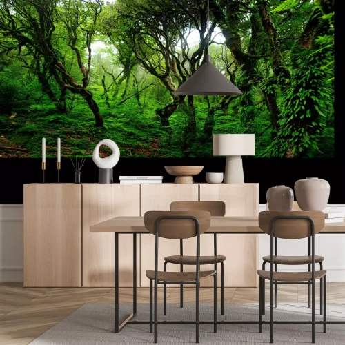 Fotobehang Jungle bomen en lianen