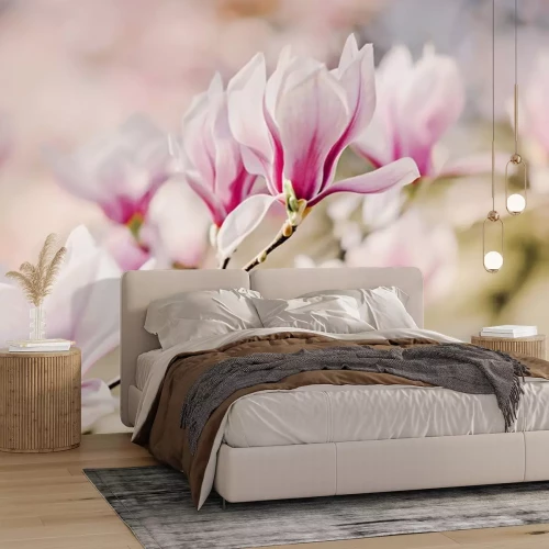 Sticker Fotografie van bloeiende magnolia's