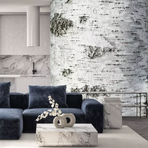 Fotobehang De zachte textuur van witte berken