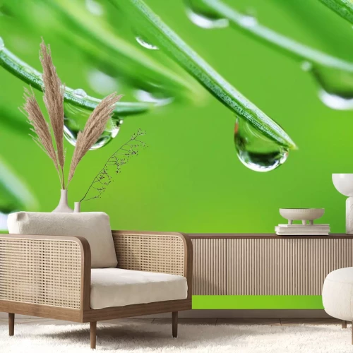 Sticker Regen druppels op dennennaalden