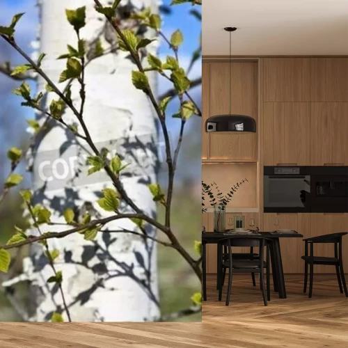 Fotobehang Berkentwijgen