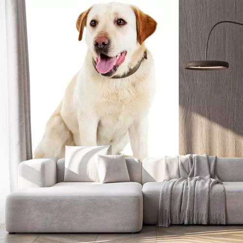 Sticker Hond met bruine oren