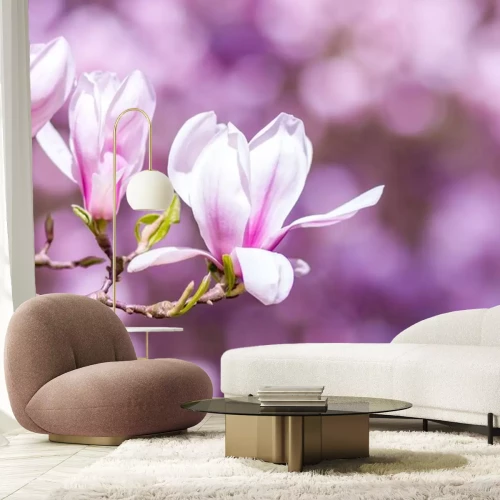 Sticker Magnolia op de achtergrond van andere bloemen