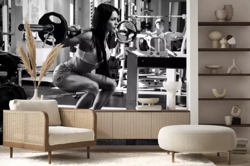 Visualisatie van het product