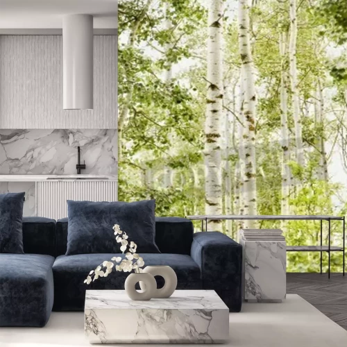 Fotobehang Licht bos met berken