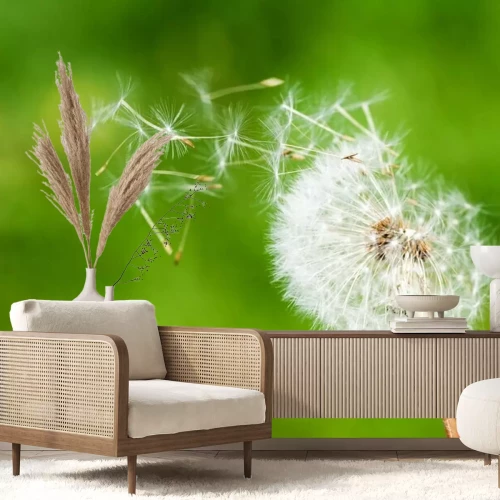 Fotobehang Paardenbloem en natuurlijke omgeving