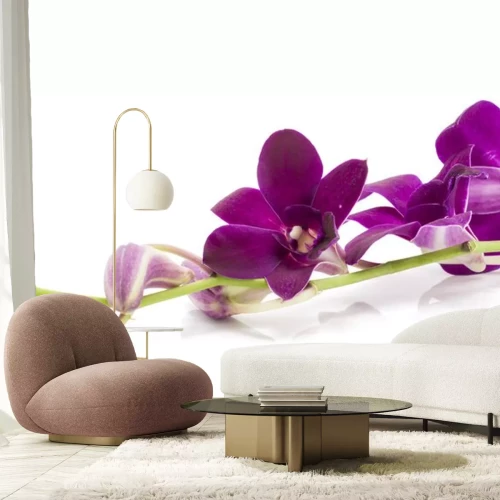 Sticker Paarse orchidee met toppen