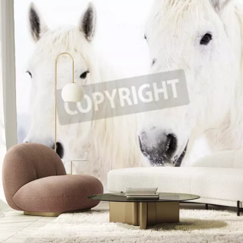 Fotobehang Twee besneeuwde paarden