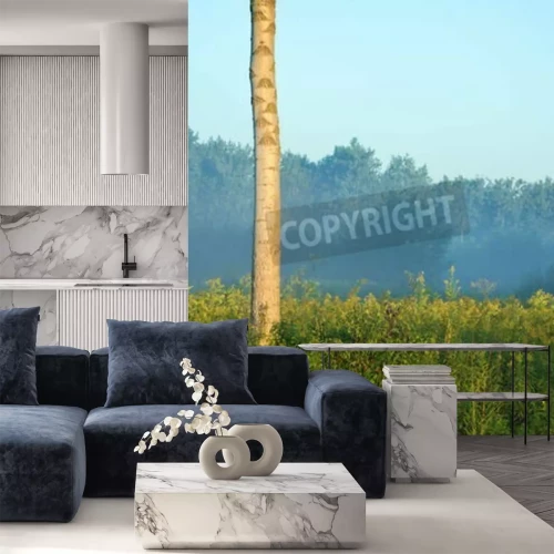 Fotobehang Berkenboom op een achtergrond van bos