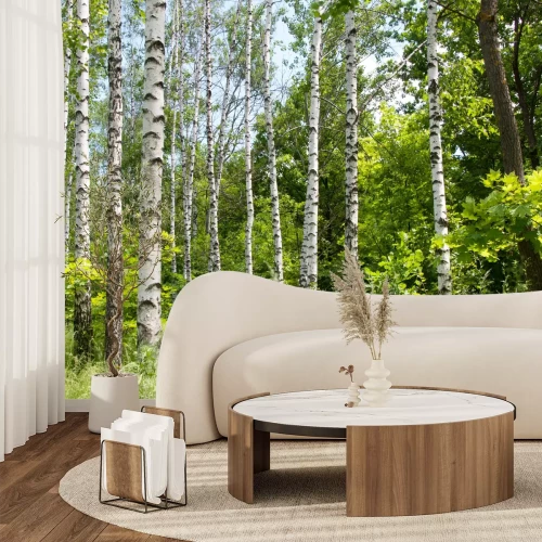 Fotobehang Berken en groen gras