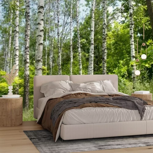 Fotobehang Berken en groen gras