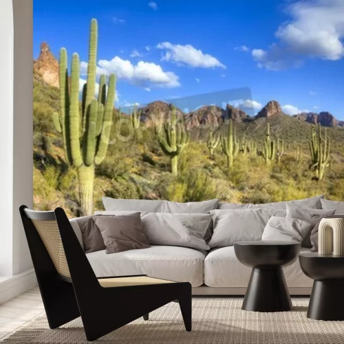 Fotobehang Woestijn met groen en cactussen