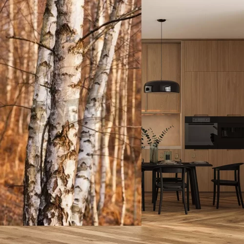 Fotobehang Berkenstammen in de herfst