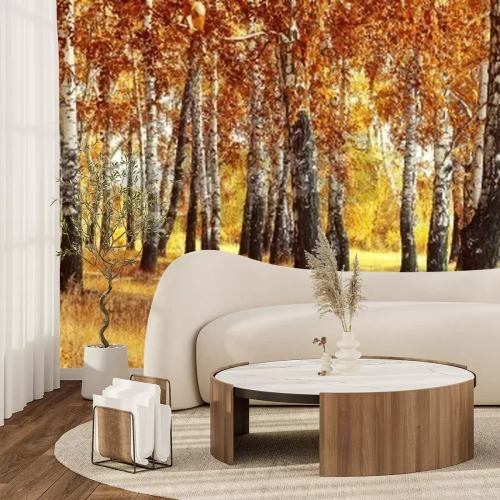 Fotobehang Herfstlandschap met berken