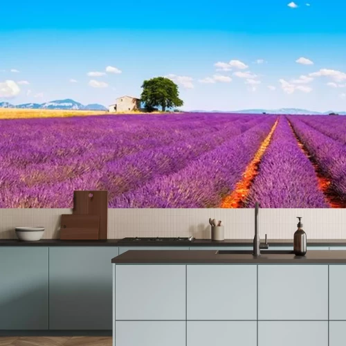 Sticker Lavendelvelden in de Provence