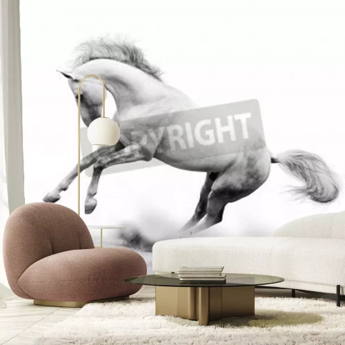Fotobehang Paard in wit stof