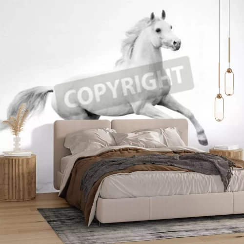 Fotobehang Wit paard in galop