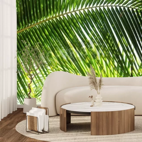 Fotobehang Groene bladeren uit de tropen