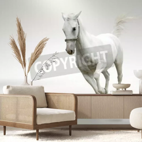 Fotobehang Rennend paard op witte achtergrond