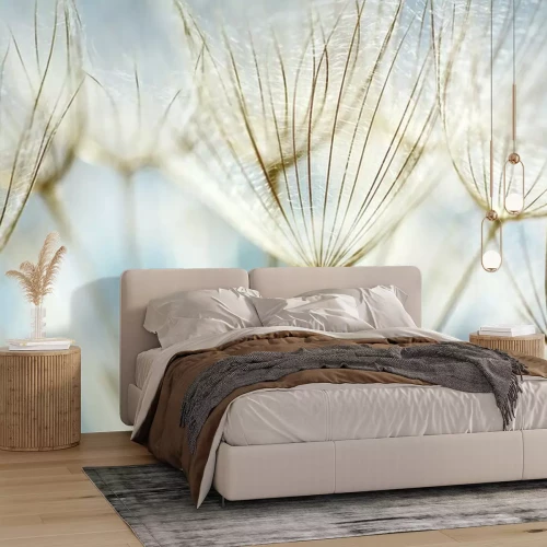 Fotobehang Paardenbloemzaden in macrofotografie