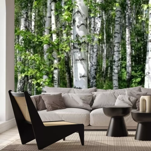 Fotobehang Zomer berkenbos