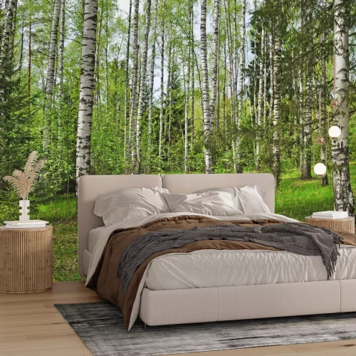 Fotobehang Berken en kerstbomen