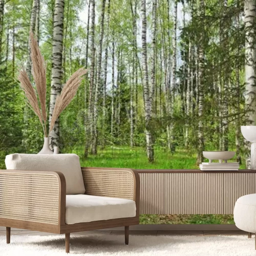 Fotobehang Berken en kerstbomen