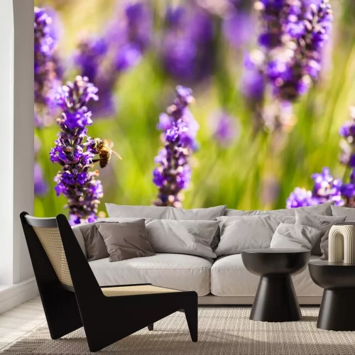 Sticker Lavendel met een bijenclose-up