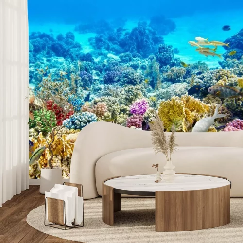 Fotobehang Onderwater koraalrif