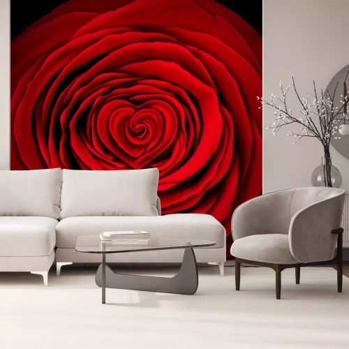 Fotobehang Rode roos op zwarte achtergrond