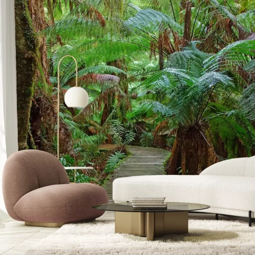 Fotobehang Een pad door de Australische jungle