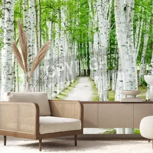 Fotobehang Wit pad langs berken