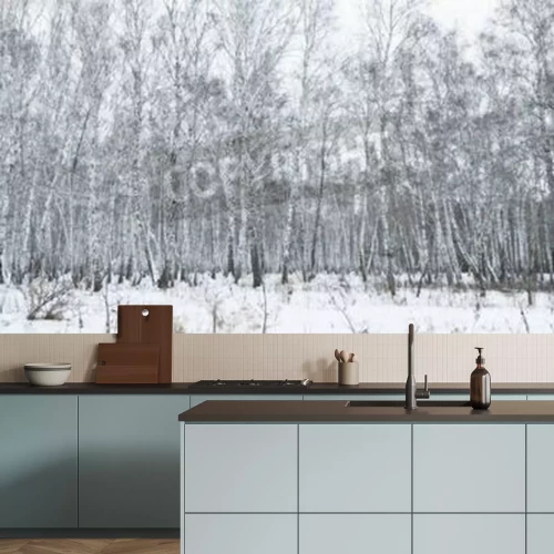 Fotobehang Winter berkenbos