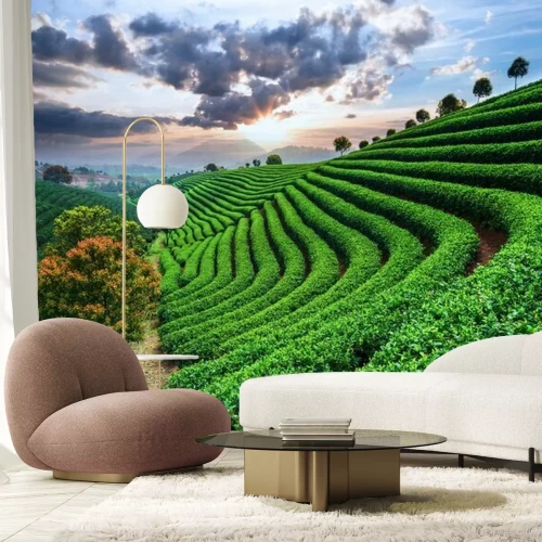 Fotobehang Theeplantages in Azië