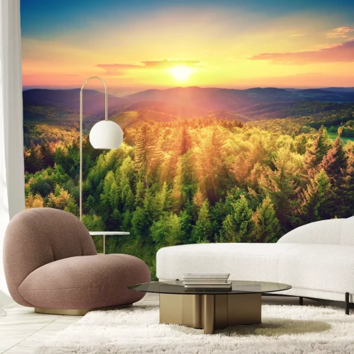 Fotobehang Zonsopgang bos groen