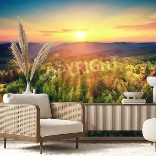 Fotobehang Zonsopgang bos groen