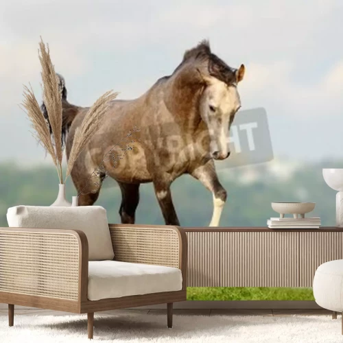 Fotobehang Lopend grijs paard