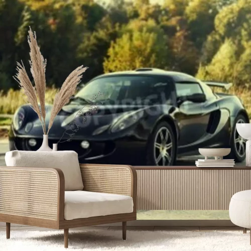 Fotobehang Black aggressive sport car on nature green background