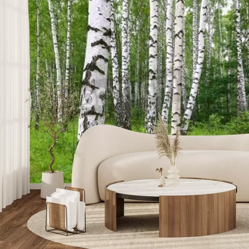 Fotobehang 3D berken in een bos