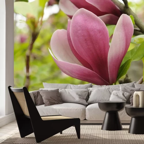 Sticker Magnolia bloemblaadjes close-up